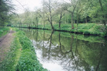 Churnet Canal