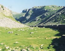 Dry Valley