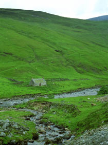 Glen Tilt