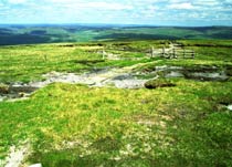 Great Shunner Fell
